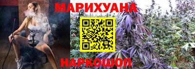 крисы Тверь