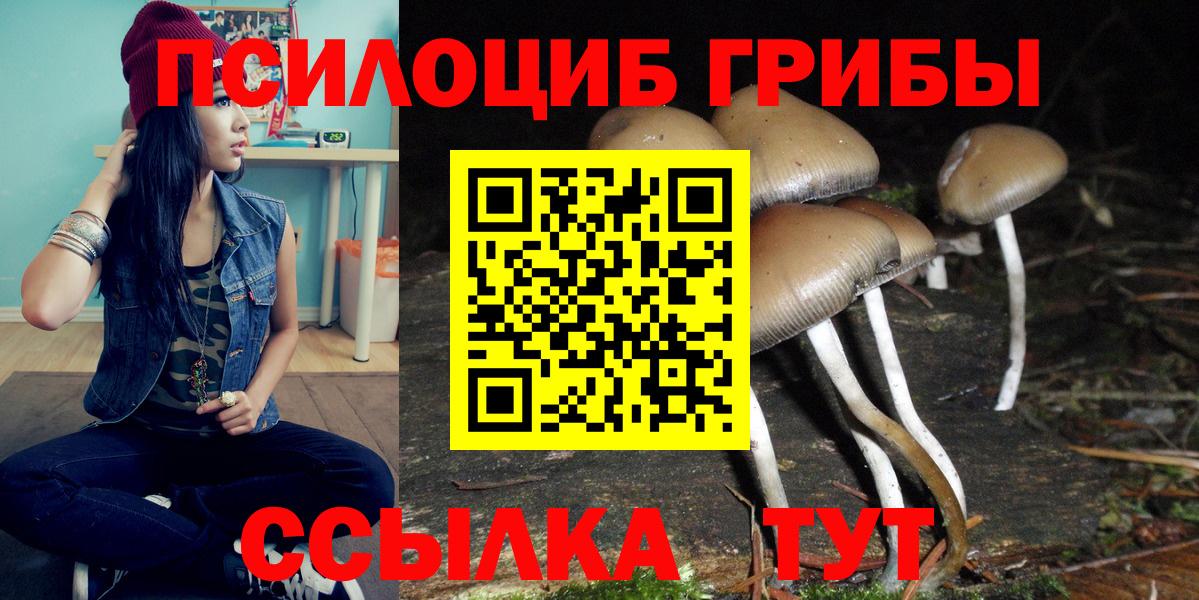 Псилоцибиновые грибы GOLDEN TEACHER  Вход с VPN  Наро-Фоминск 